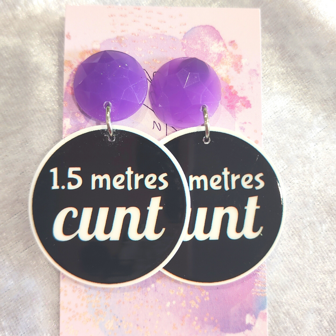 1.5 Metres C*** Earrings