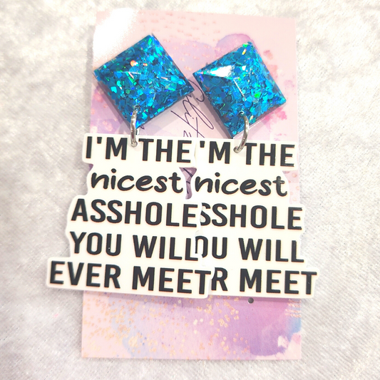 Nicest Asshole You'll Ever Meet Slogan Earrings